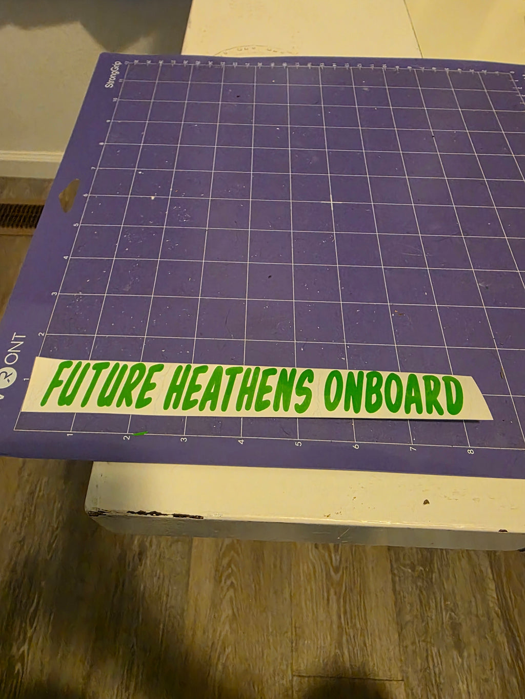 Future Heathens Onboard